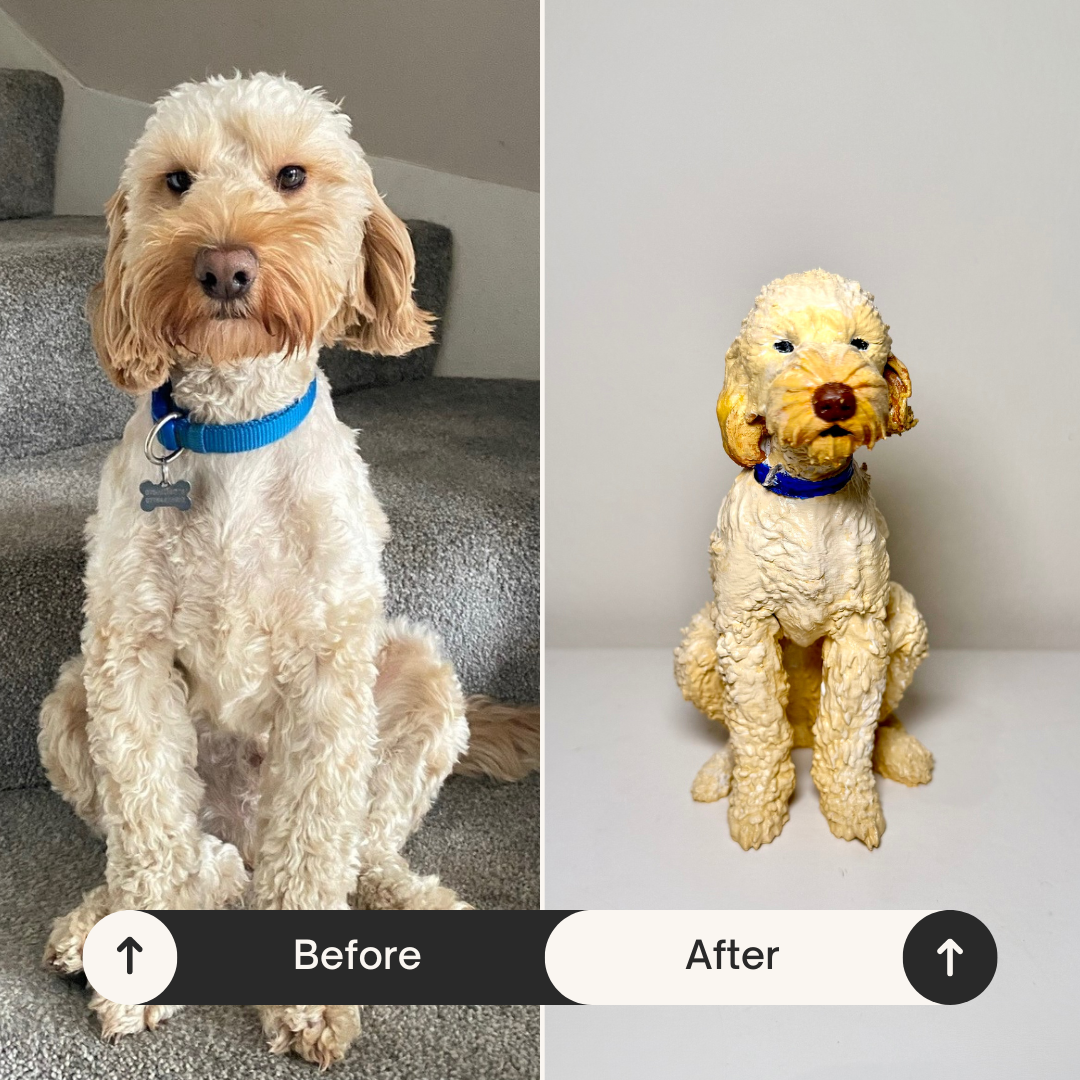 Your Dog 3D Personalised Pet Model Painting Kit