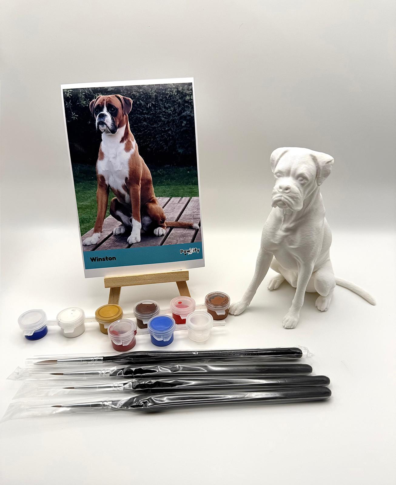 Your Dog 3D Personalised Pet Model Painting Kit